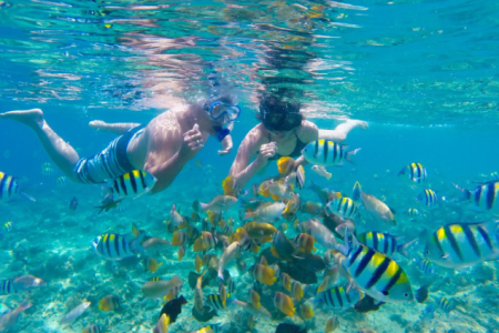 A.Paket Wisata Pulau Seribu One day trip 2025