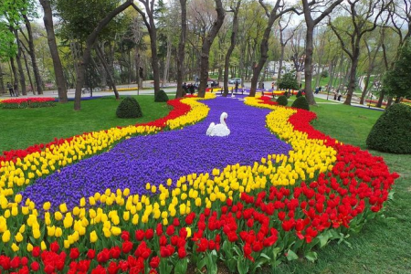 Paket Wisata Turkey Tulip Festival. Dep : 14, 16, 21 Apr 2026