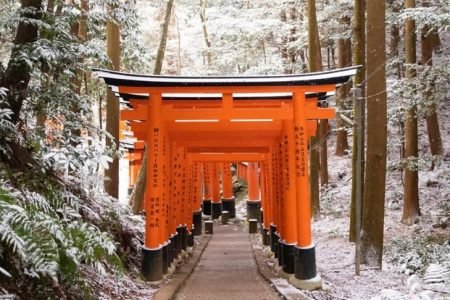 Paket Wisata Ohayo Japan. Dep : 1, 8, 15 Dec 2025